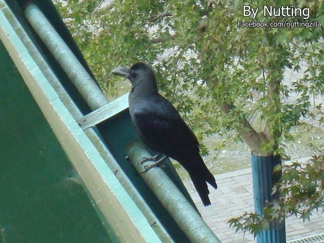 DSC04007.JPG
